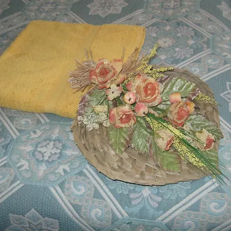 Del Turista Srl Hotel