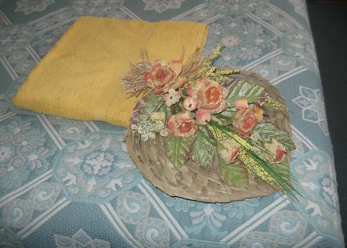 Del Turista Srl Hotel