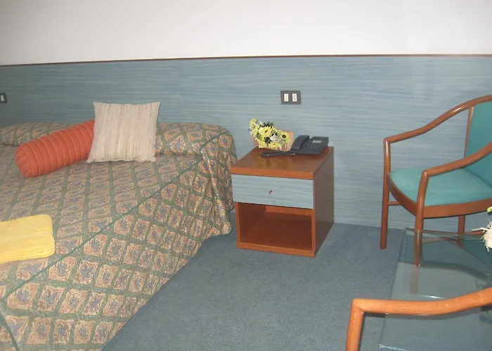 Hotel Del Turista Srl 3*